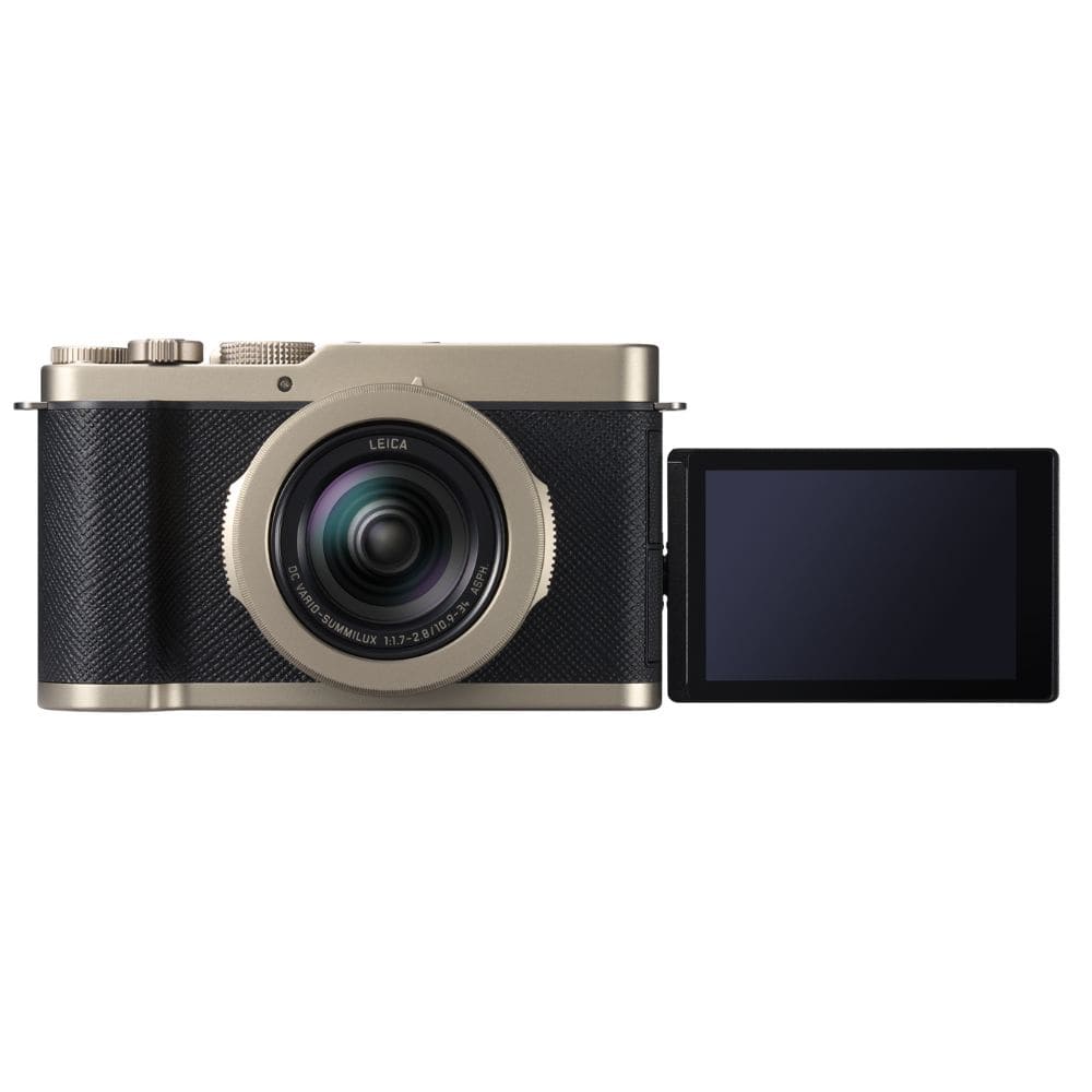 Цифрова фотокамера Panasonic Lumix DC-L10E-N Цифрова фотокамера Panasonic Lumix DC-L10E-N