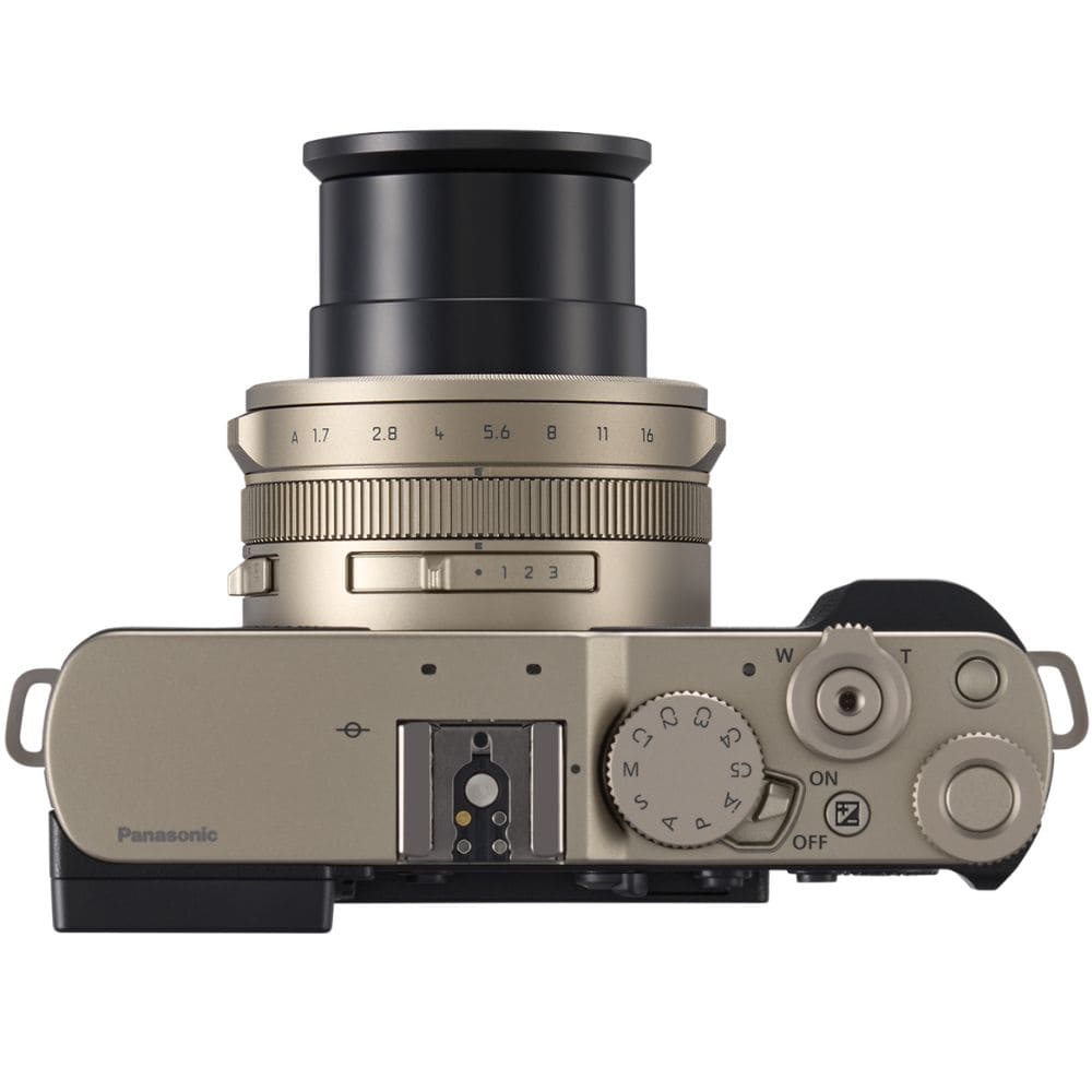 Цифрова фотокамера Panasonic Lumix DC-L10E-N Цифрова фотокамера Panasonic Lumix DC-L10E-N